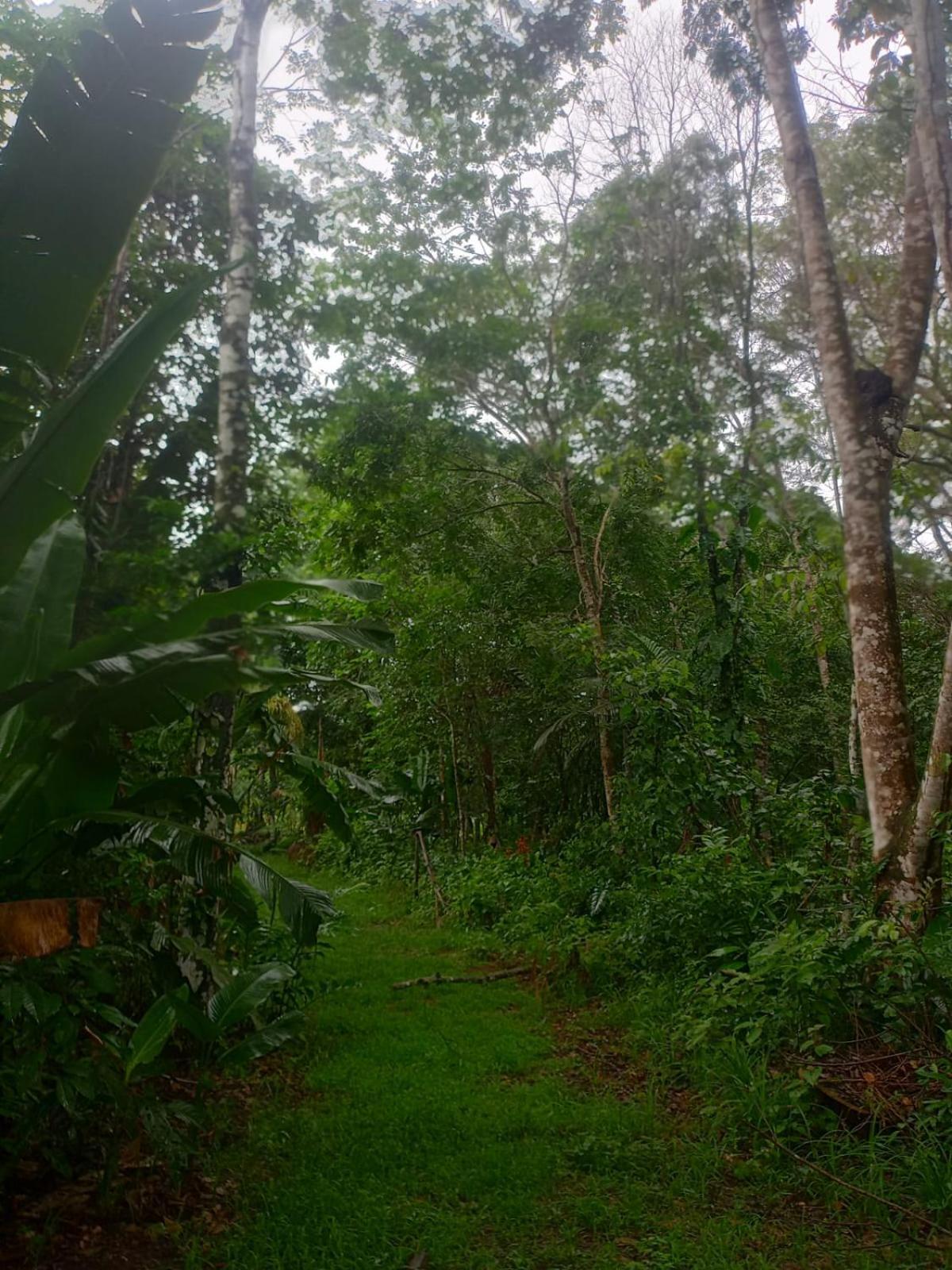 Hotel Eco Sitio O Labirinto Do Fauno Mosqueiro  Zewnętrze zdjęcie