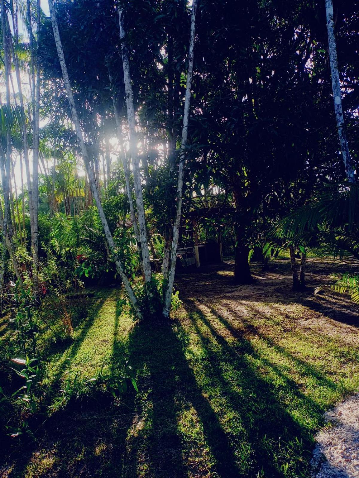 Hotel Eco Sitio O Labirinto Do Fauno Mosqueiro  Zewnętrze zdjęcie